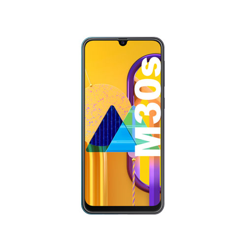 Samsung Galaxy M30s Reparatur